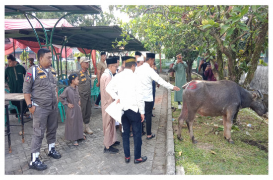 Satpol PP Kampar Lakukan Pengamanan, Sholat Idul Adha 1447 H Berjalan dengan Khidmat